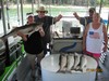 (07/06/2018) - Nice Striped Bass